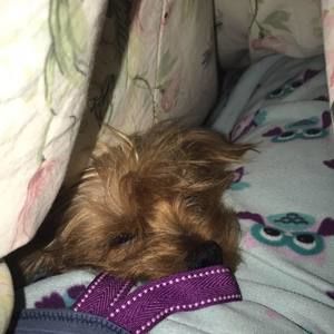 Meet your Posher, Chloe